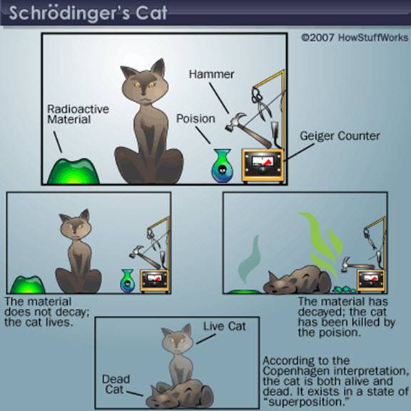 gato.jpg gato.jpg