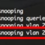 cisco_mld_snooping_5-hvillanueva.png
